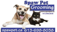 Ottawa certified dog and cat groomer
