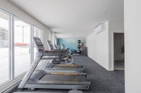 Plus de choix, plus de confort, à portée de main ! Découvrez nos locations d'appartements adaptées à... (image 8)