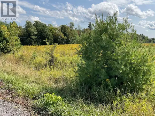 1211 BELLAMY ROAD Mississippi Mills, Ontario in Land for Sale in Ottawa - Image 3