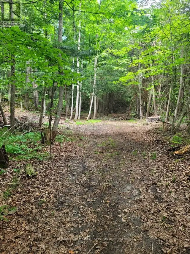 1352 COUNTY 43 ROAD HIGHWAY W Montague, Ontario in Land for Sale in Ottawa - Image 41