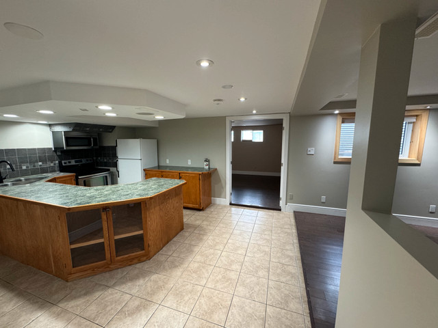 Basement Duplex Delight: Modern 1-Bedroom with Den in Long Term Rentals in Thunder Bay