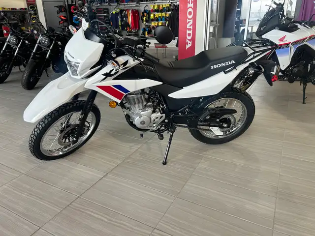 2025 Honda XR Honda XR150L Dual Purpose (Click Ad For Details) in Street, Cruisers & Choppers in Swift Current - Image 5