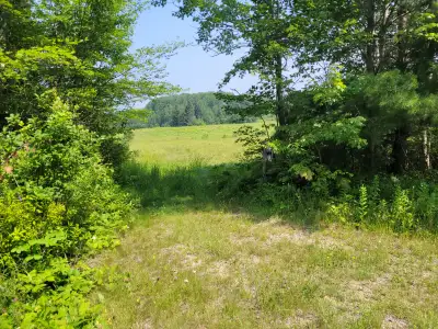 98 Acres vacant land on Vaughan Road. 30 acres cleared. Balanced mixed bush. Dead-end road. Hydro at...