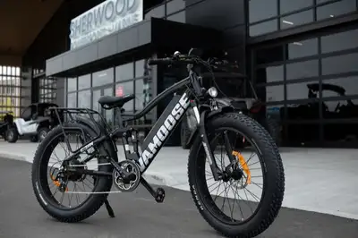 Vamoose ODIN 4.2 mountain bike brings enjoyment to trails full of bumps and chatter. With its impact...