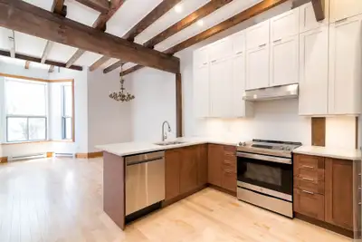 Saint-Henri - Beautiful Large 1 Bedroom Loft Renovated