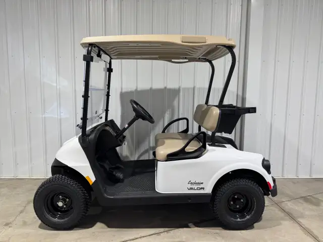 2026 E-Z-GO RXV 2 Valor S EX1-White golf cart in ATVs in Vernon - Image 2
