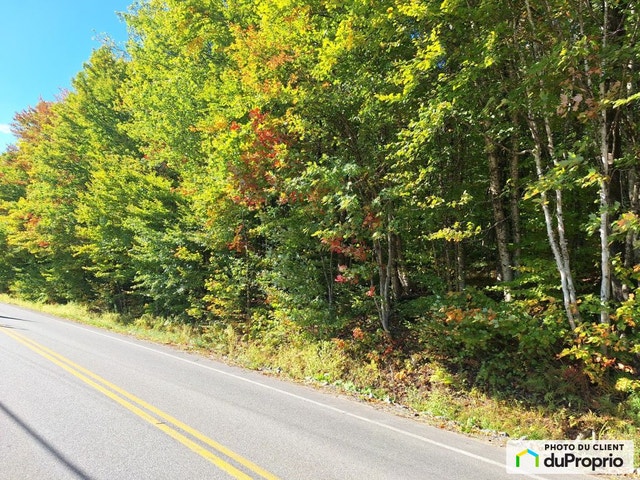 $185,000 - Price taxes not included - Residential Lot for sale — photo 3