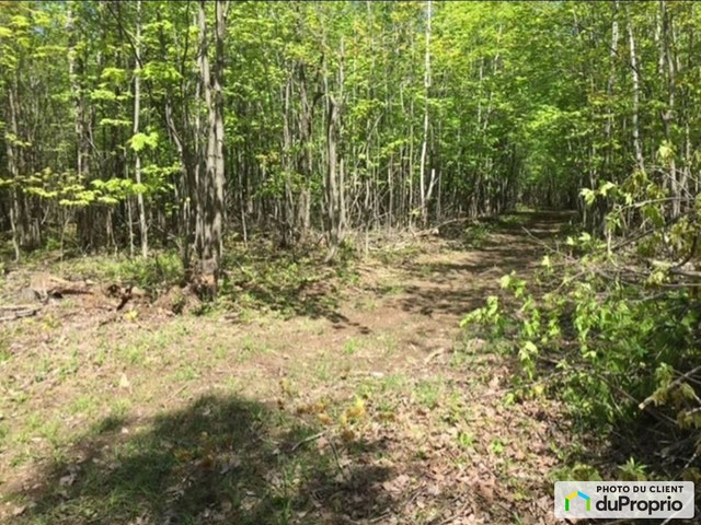 $595,000 - Wood Lot for sale in St-Valerien-De-Milton — photo 3