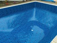 POOL LINER REPLACEMENTS! FREE ESTIMATES! (519)636-3123