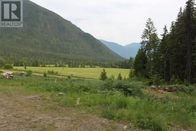 736 BARTLEY Road Nakusp, British Columbia in Land for Sale in Nelson - Image 5