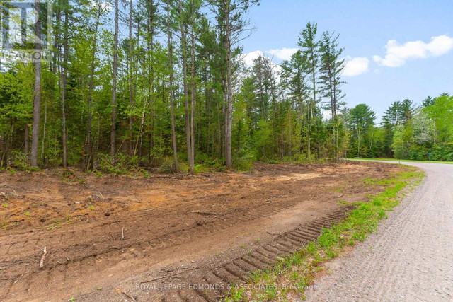000 NANGOR TRAIL Whitewater Region, Ontario in Land for Sale in Pembroke - Image 4