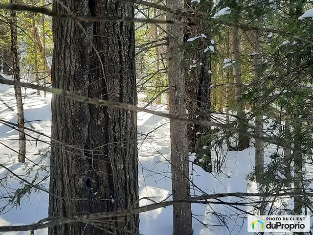 $290,000 - Price taxes not included - Residential Lot in La Baie in Land for Sale in Saguenay - Image 7