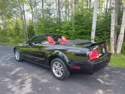 2005 MUSTANG CONVERTIBLE V6 AUTO HAS OPTIONAL PERINEUM INTERIOR UNTOUCHED ORIGINAL CONDITION MUST BE...