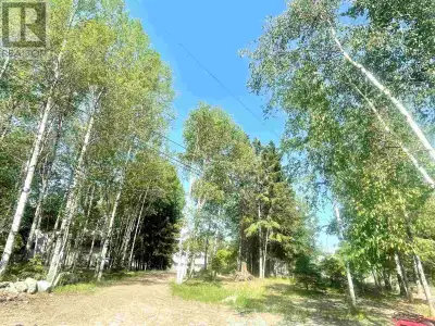 Beautiful park like property situated on a pie shaped oversized lot on a quiet cul-de-sac offering g...