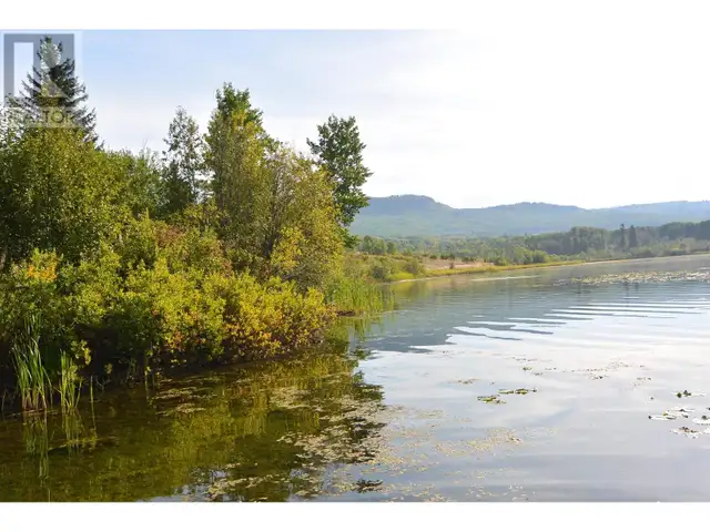 4421 TYHEE LAKE ROAD Telkwa, British Columbia in Land for Sale in Smithers - Image 9
