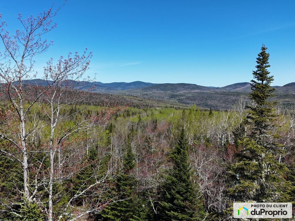$62,000 - Residential Lot for sale in Petite-Riviere-St-Francois — photo 1