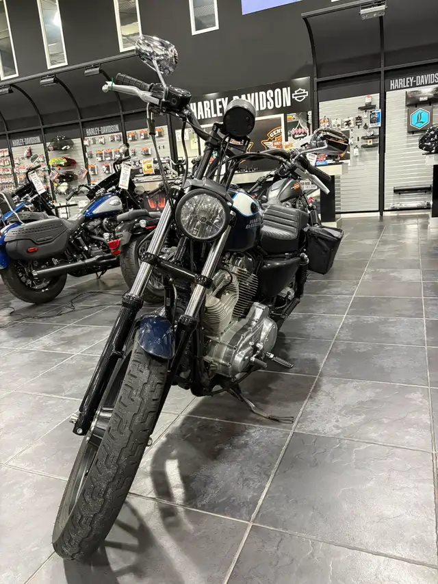 2009 Harley-Davidson Sportster 883 Low in Sport Bikes in Sudbury - Image 11