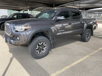 *Vehicle history form conveniently located in vehicle photos. AMVIC LICENSED DEALER ... Engine: Regu... (image 1)
