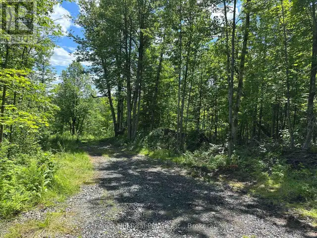0-3 JACKS LAKE Parry Sound Remote Area (Golden Valley), Ontario63007359924353123