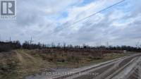 Land For Sale In Marmora