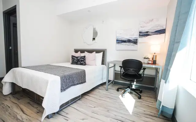 1 Bedroom + Dining Suites Available! in Long Term Rentals in Kitchener / Waterloo - Image 5
