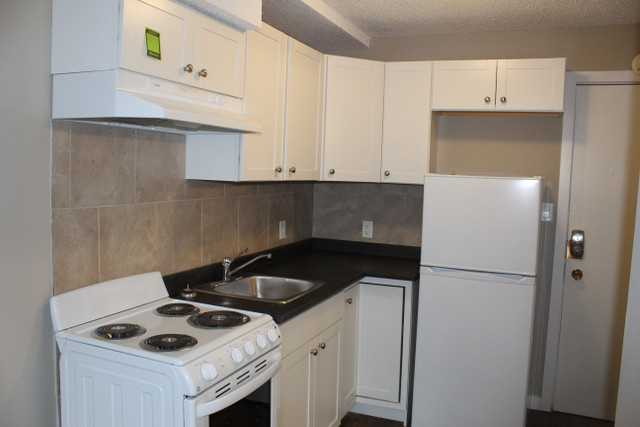 Oliver Apartment For Rent | Kane Apartments in Long Term Rentals in Edmonton - Image 3