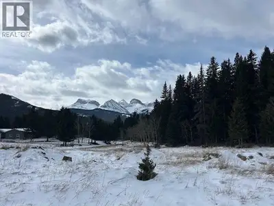 Welcome to Coleman , Crowsnest Pass. If rural living with the conveniences of nearby amenities appea...