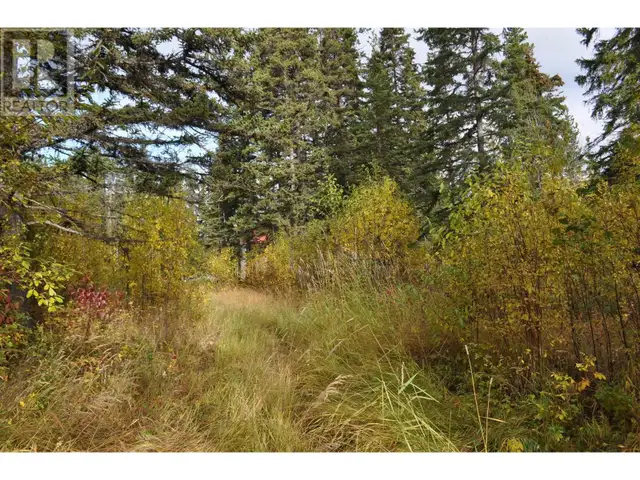 1 41522 W YELLOWHEAD 16 HIGHWAY Houston, British Columbia in Houses for Sale in Houston - Image 22