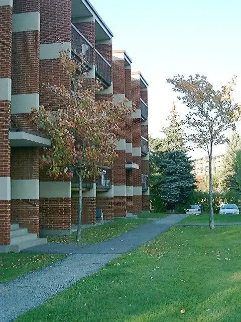 3 1/2  LÉVIS / libre maintenant in Long Term Rentals in Lévis - Image 5