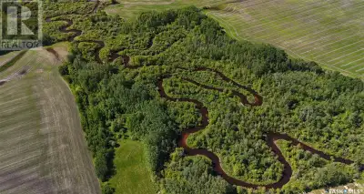 Rare opportunity! 58.34 acres of pristine wilderness with half a mile of riverfront. Heavily wooded...