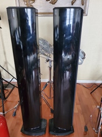 Fidek Floor-Standing Tower Speakers (Pair) 120Watt Mississauga / Peel Region Toronto (GTA) Preview