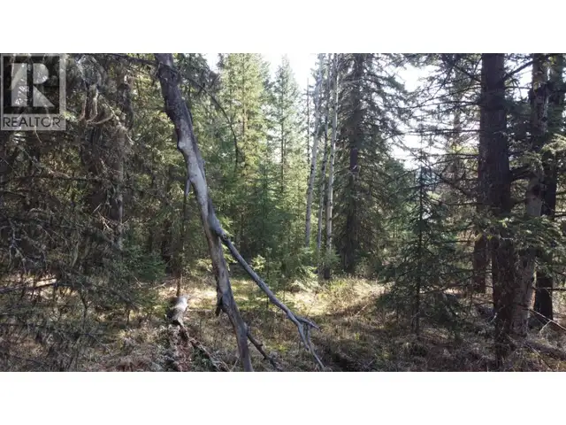 LOT B BRYCE ROAD Forest Grove, British Columbia in Land for Sale in 100 Mile House - Image 11