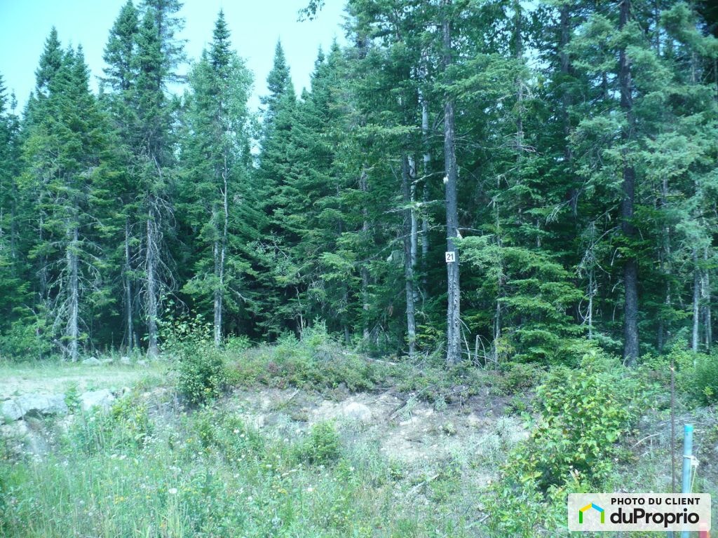 $60,000 - Land to be developed for sale in St-Tite-Des-Caps — photo 2