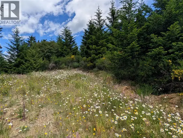 Lot 1 Eagle Vista Rd Shawnigan Lake, British Columbia in Land for Sale in Victoria - Image 10