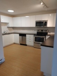 157 BIGGS ST, RENOVATED 2 BDR AVAILABLE AUGUST 1!