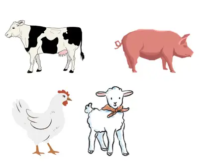 On-Farm Butcher Services – Keep 100% of What You Raise! For farm use only – all meat must be consume...