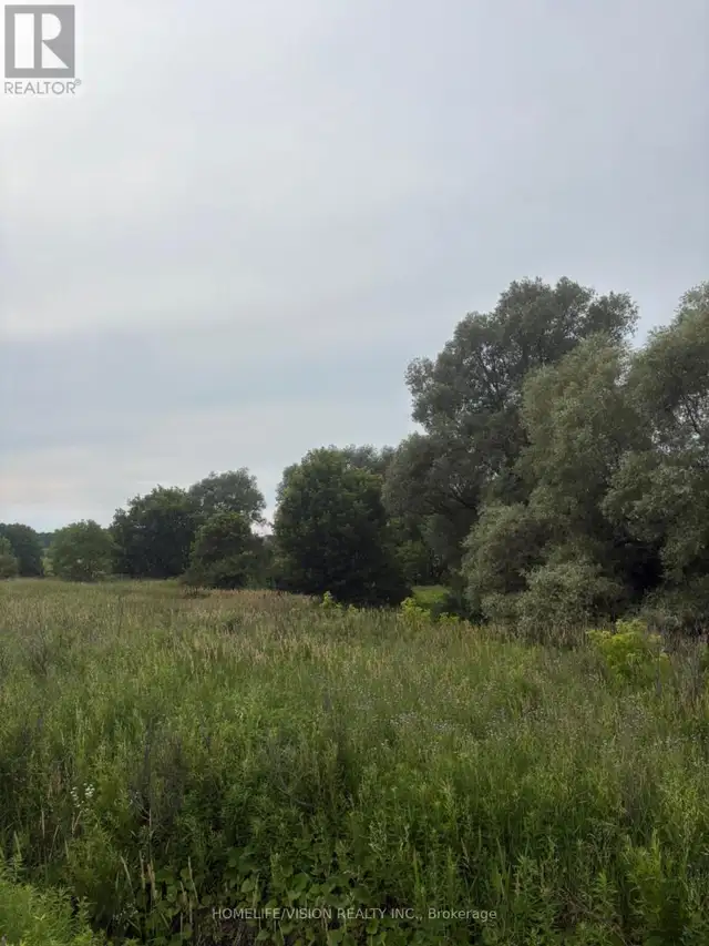 0 HIGHWAY 89 Innisfil (Cookstown), Ontario in Land for Sale in Barrie - Image 5