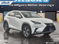 Look at this 2021 Lexus NX NX 300 Leather | Sunroof | Nav | Mark Levinson Audio | Heated & Cooled Se... (image 6)