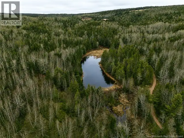 Lot Shaw Road Shenstone, New Brunswick in Land for Sale in Moncton - Image 4