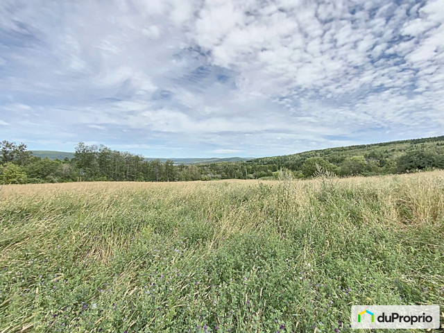 325 000$ - Prix taxes en sus - Terre agricole à vendre dans Terrains à vendre  à Edmundston - Image 3