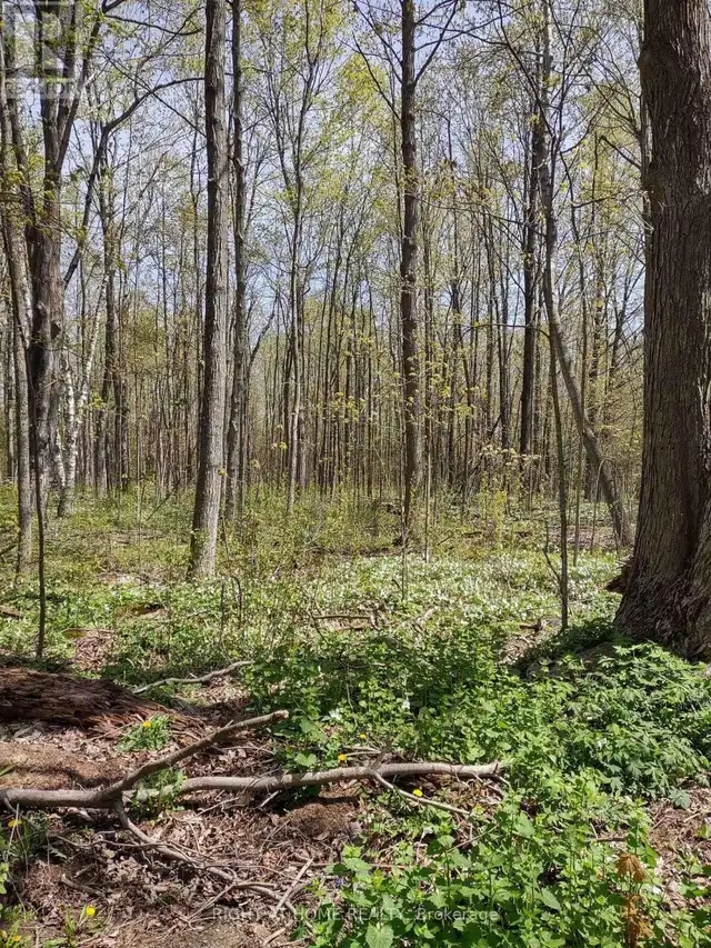 PTL 26 & PTL 27, CON 7, ORO Oro-Medonte, Ontario in Land for Sale in Barrie - Image 20