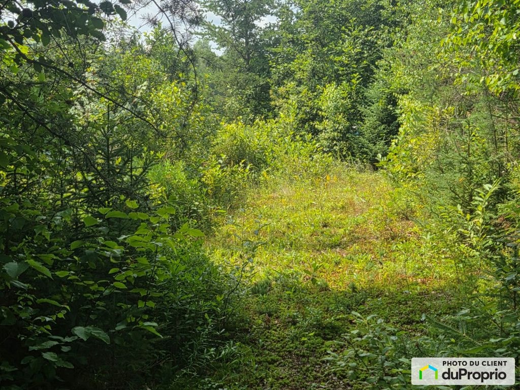 $140,000 - Residential Lot for sale in St-Côme — photo 3