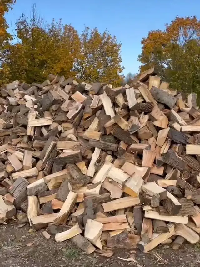 Firewood for sale in whole GTA Area or near.
