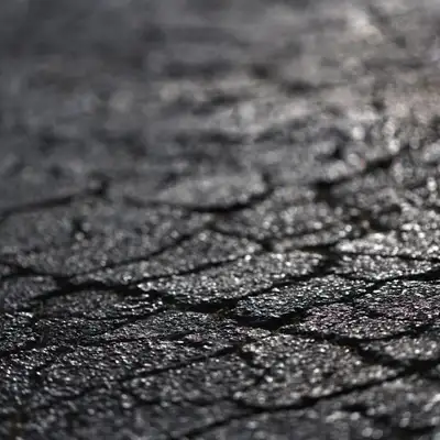 Asphalt Wanted, View more