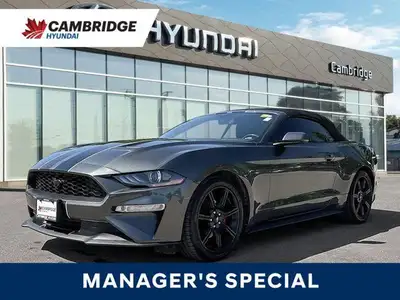 *2019 Ford Mustang EcoBoost Premium Convertible | Automatic | Turbocharged | Low KM* Iconic design m...