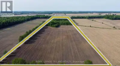 51.67 ACRE ESTATE STYLE BUILDING LOT WITH PERFECT BLEND OF CLEAR ACREAGE, MATURE FOREST + A CREEK WI...