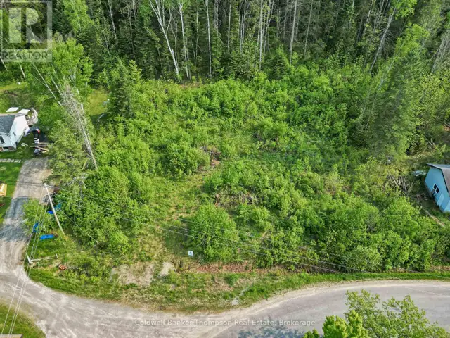 219 DOE LAKE ROAD Armour, Ontario in Land for Sale in Muskoka - Image 3