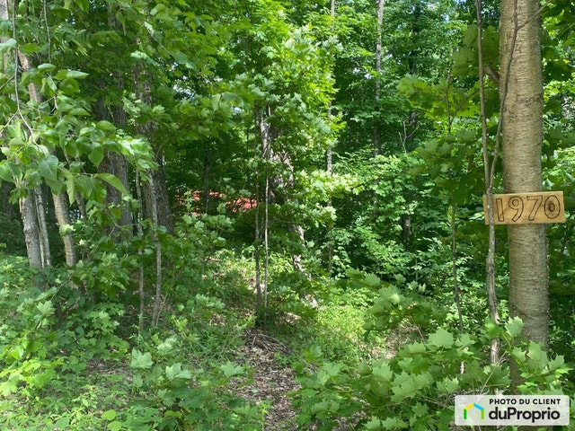 $310,000 - Residential Lot for sale in St-Adolphe-D'Howard — photo 3