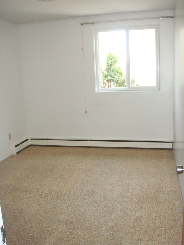 AVAILABLE NOW - LARGE 1 BEDROOM -2512 LOUISE STREET(MARKET MALL) in Long Term Rentals in Saskatoon - Image 3