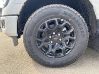 Welcome to Freedom Ford. *3.5L EcoBoost V6 | 4X4 Capability | Tow Hitch | All-Terrain Tires | Advanc... (image 2)